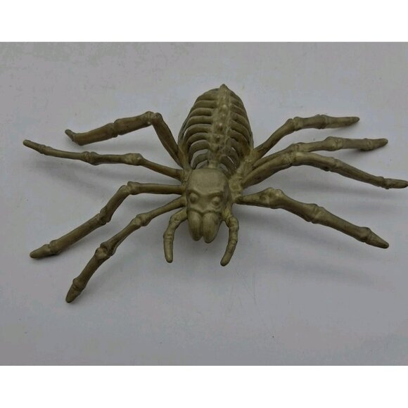 Halloween Skeleton Vulture Rat Spider Bones Props Decoration Horror Spooky Lot - Picture 2 of 14
